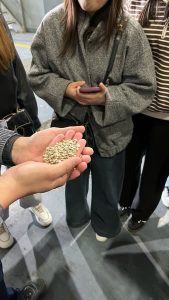 490846505_8100608043397138_5487056793474698487_n